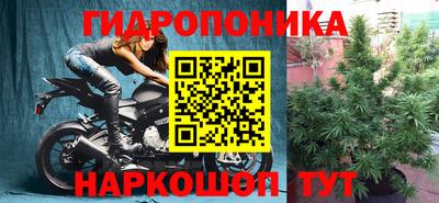 дмт Будённовск