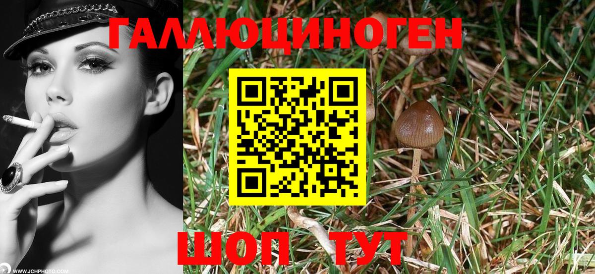 Псилоцибиновые грибы мухоморы Арсеньев